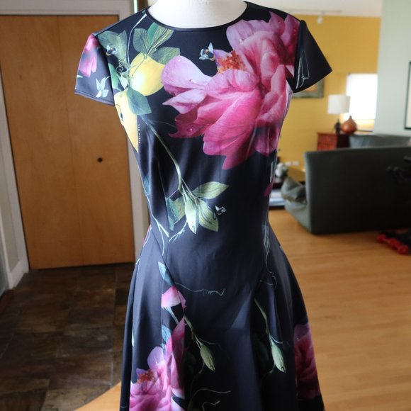 Worn once! $280 Ted Baker floral print fit n flare short sleeve dress size 1 - Picture 1 of 16